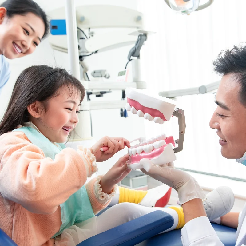 Dentist showing tooth model to child during family dentistry visit at Fairmont Dental Centre in London Ontario